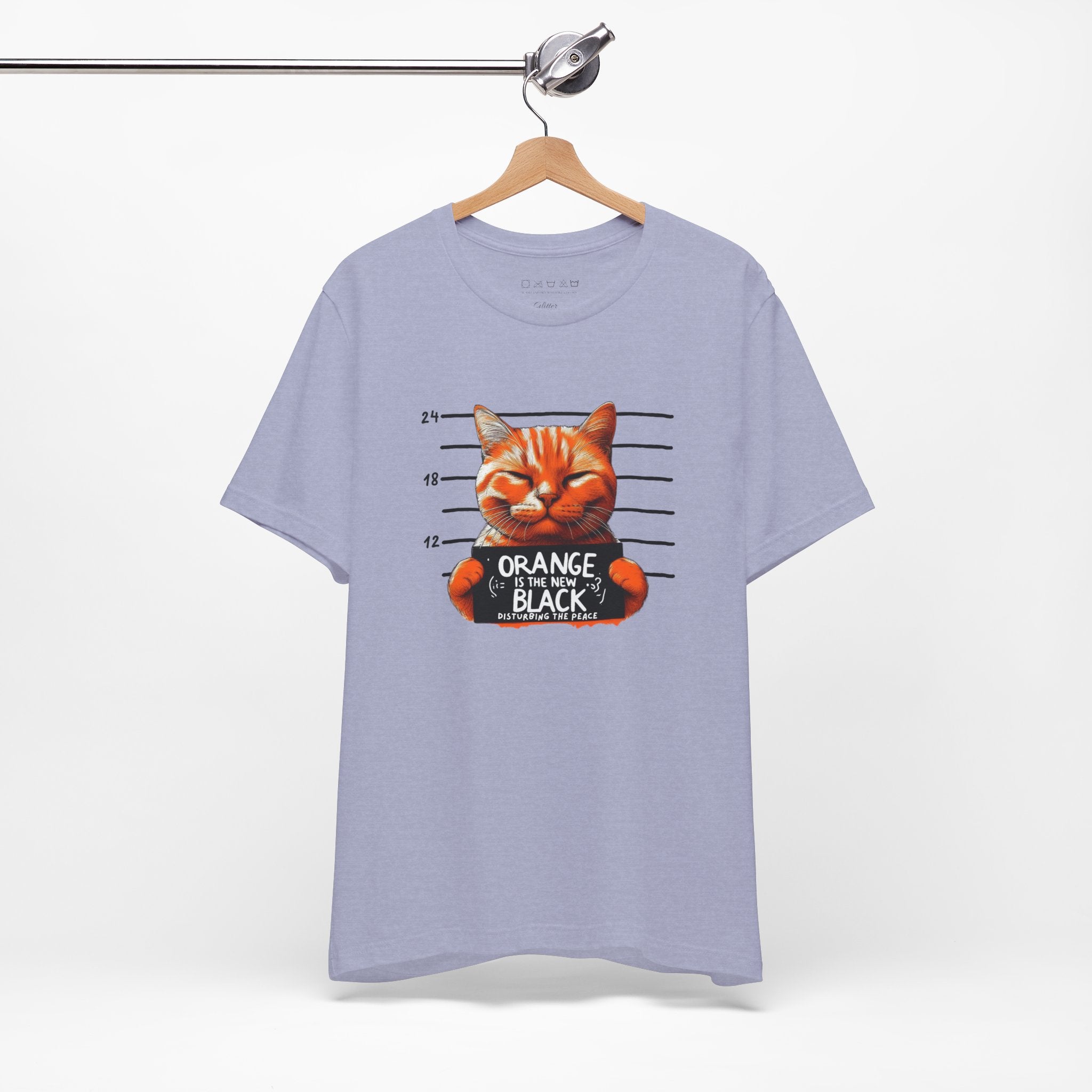 Funny Orange Cat Mugshot Unisex Tee, T-Shirt, Humorous Graphic Shirt, Novelty Gift Top, Cute Animal Lover Apparel